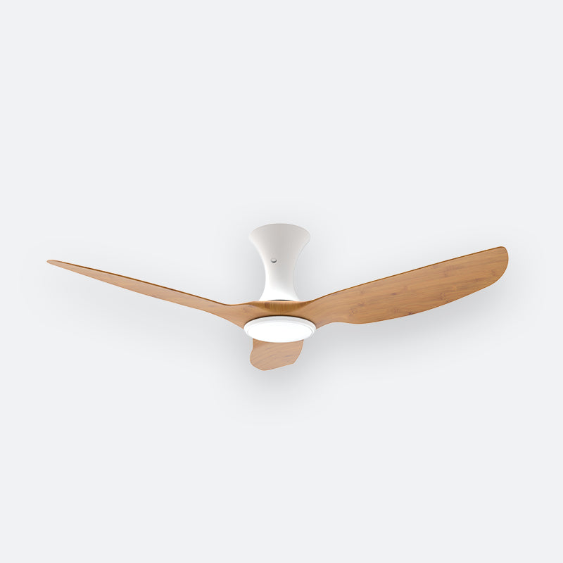 AH36 Scandinavian Decor Fans (T5F)