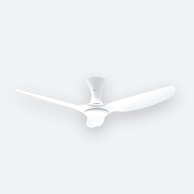 AH36 Modern Decor Fans (T5F)