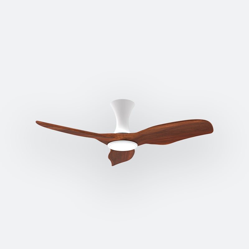 AH38 Scandinavian Decor Fans (T5F)