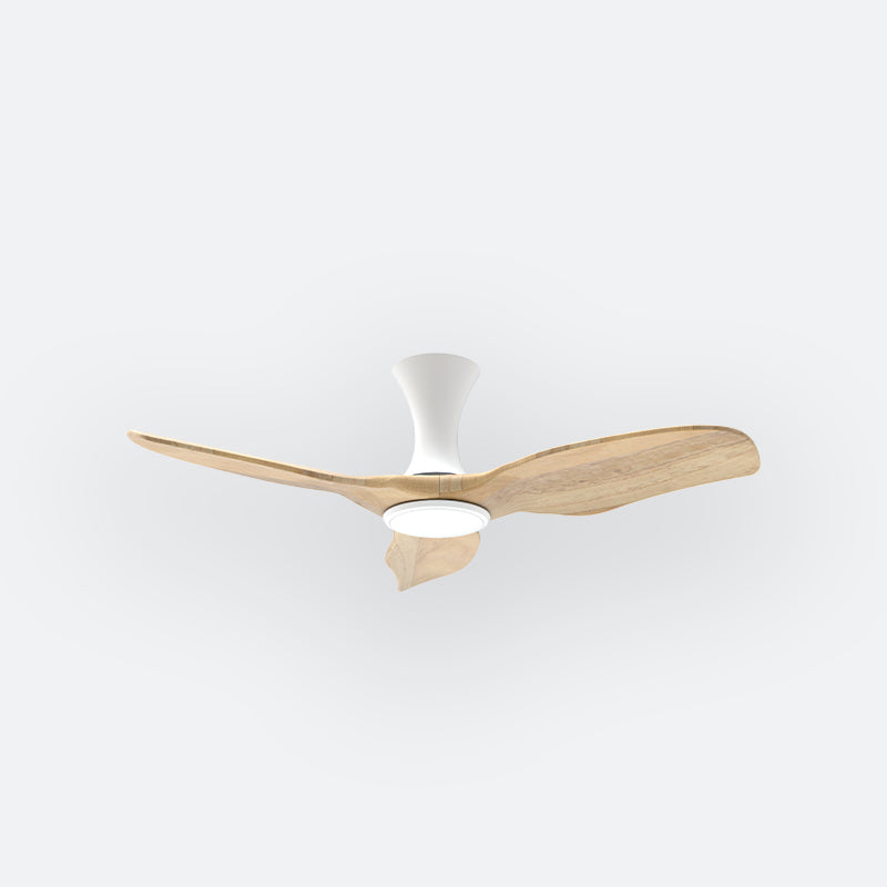 AH38 Scandinavian Decor Fans (T5F)
