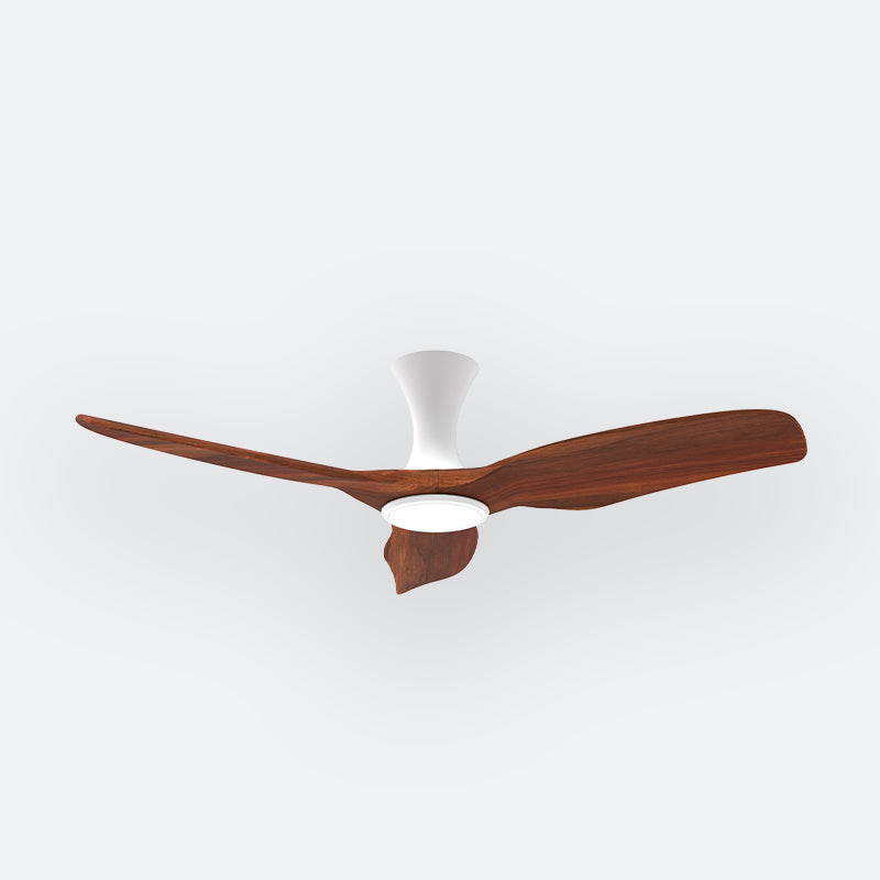 AH38 Scandinavian Decor Fans (T5F)