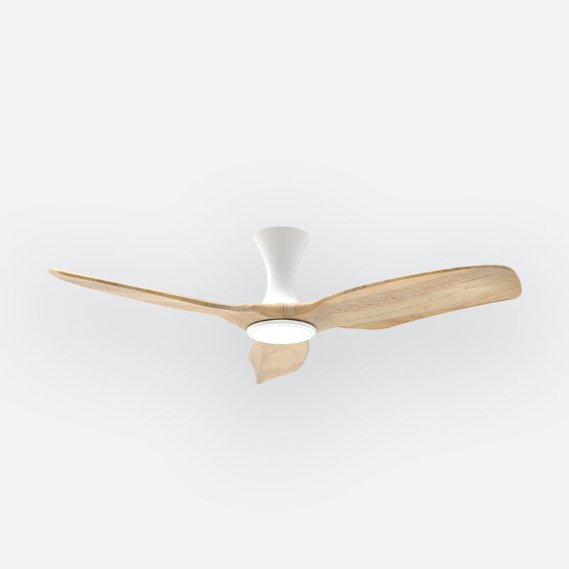 AH38 Scandinavian Decor Fans (T5F)