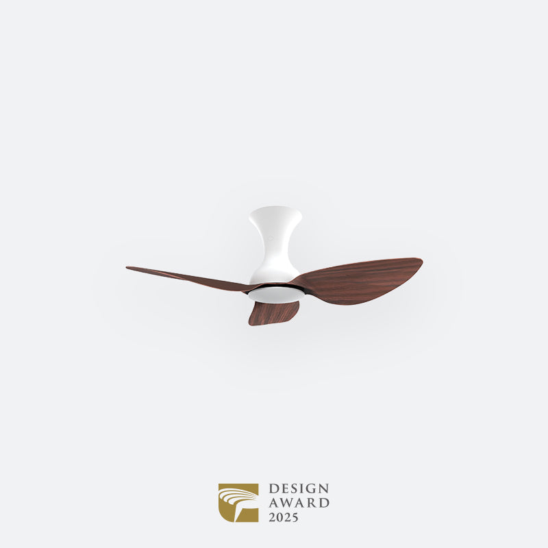 D10N Scandinavian DFY Decor Fan (NL2/V5F)