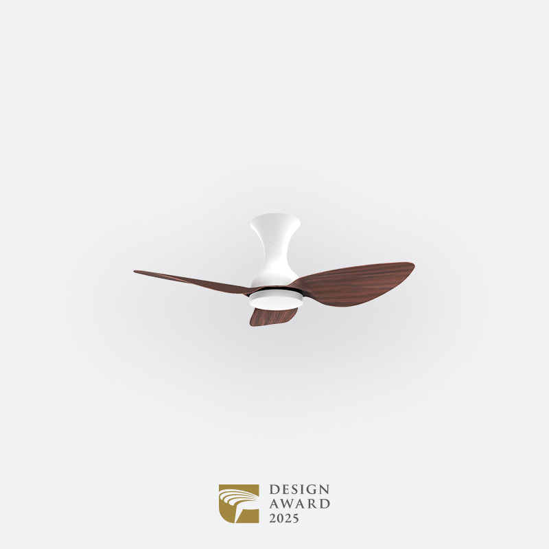 D10N Scandinavian DFY Decor Fan (NL2/V5F)