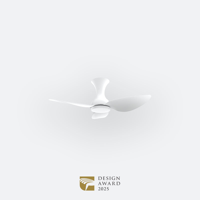 D10N Modern DFY Decor Fan (NL2/T5F/SRF)