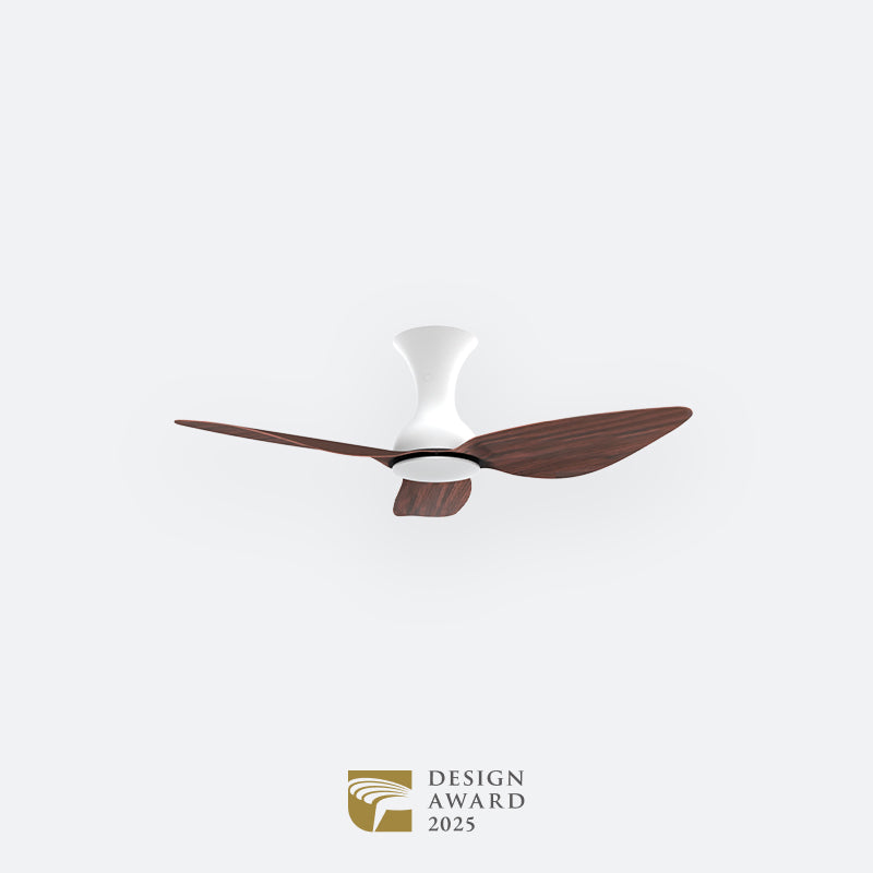 D10N Scandinavian DFY Decor Fan (NL2/V5F)