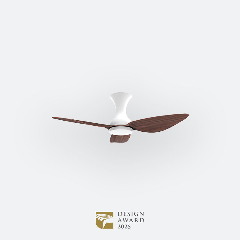 D10N Scandinavian DFY Decor Fan (NL2/V5F)