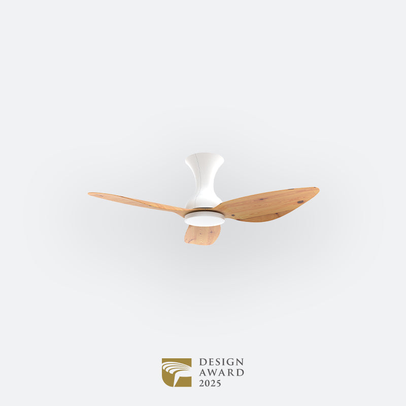 D10N Scandinavian DFY Decor Fan (NL2/V5F)