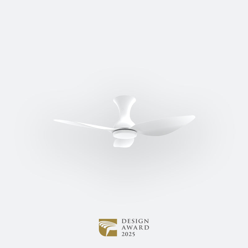 D10N Modern DFY Decor Fan (NL2/T5F/SRF)
