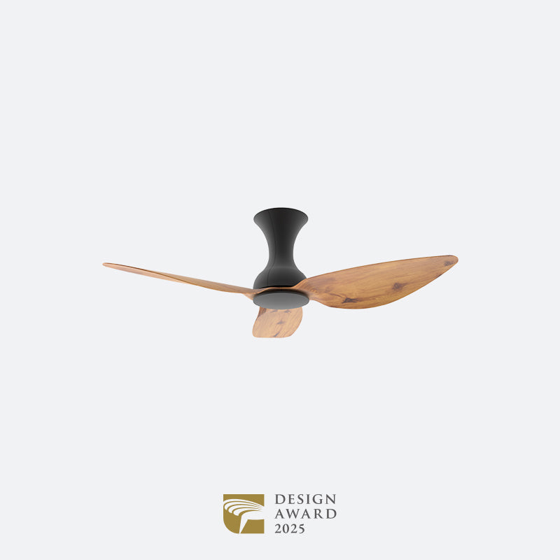 D10N Scandinavian DFY Decor Fan (NL2/V5F)