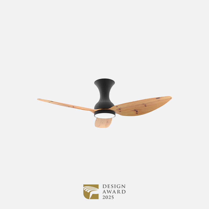 D10N Scandinavian DFY Decor Fan (NL2/V5F)
