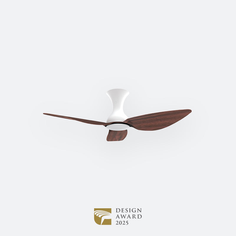 D10N Scandinavian DFY Decor Fan (NL2/V5F)
