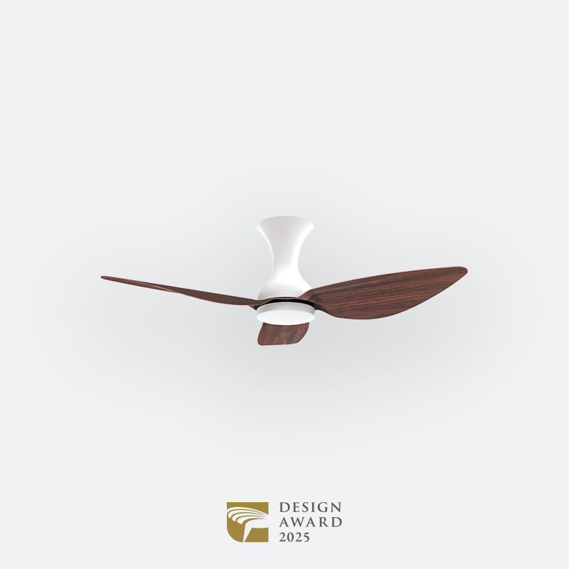 D10N Scandinavian DFY Decor Fan (NL2/V5F)
