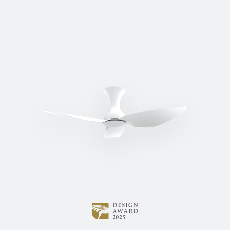 D10N Modern DFY Decor Fan (NL2/T5F/SRF)