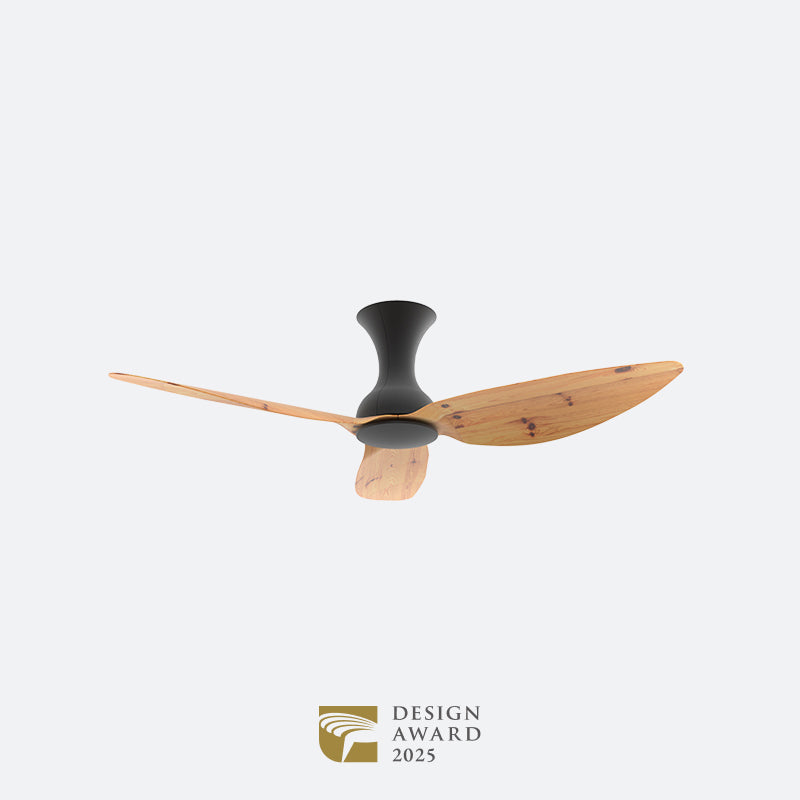 D10N Scandinavian DFY Decor Fan (NL2/V5F)