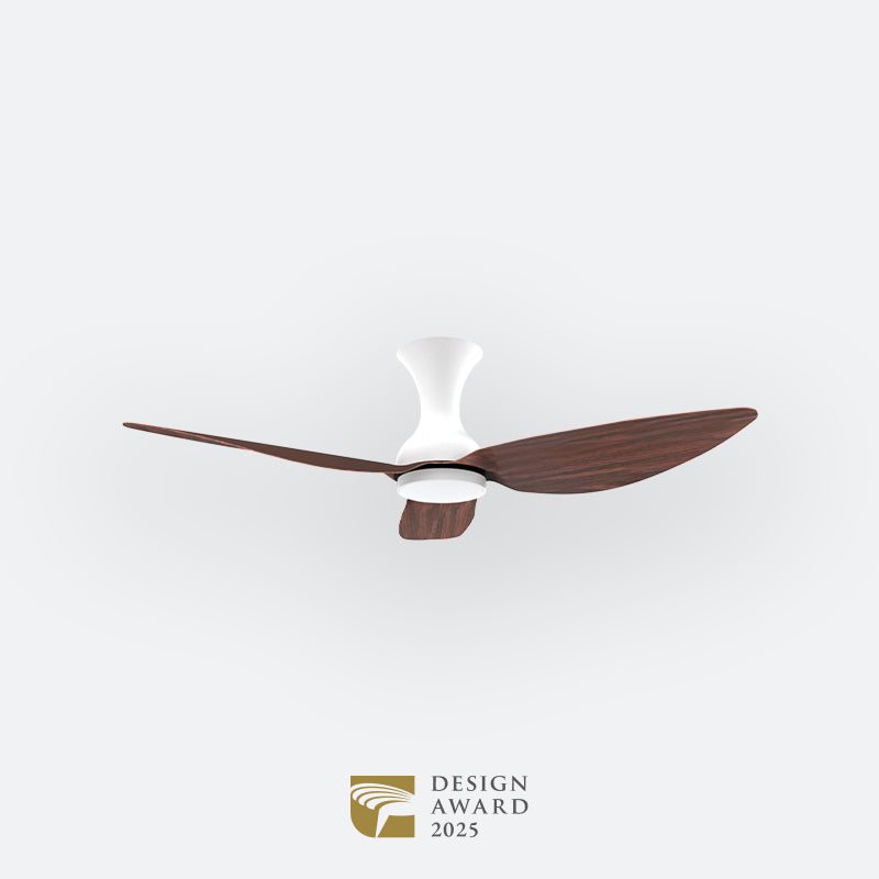 D10N Scandinavian DFY Decor Fan (NL2/V5F)