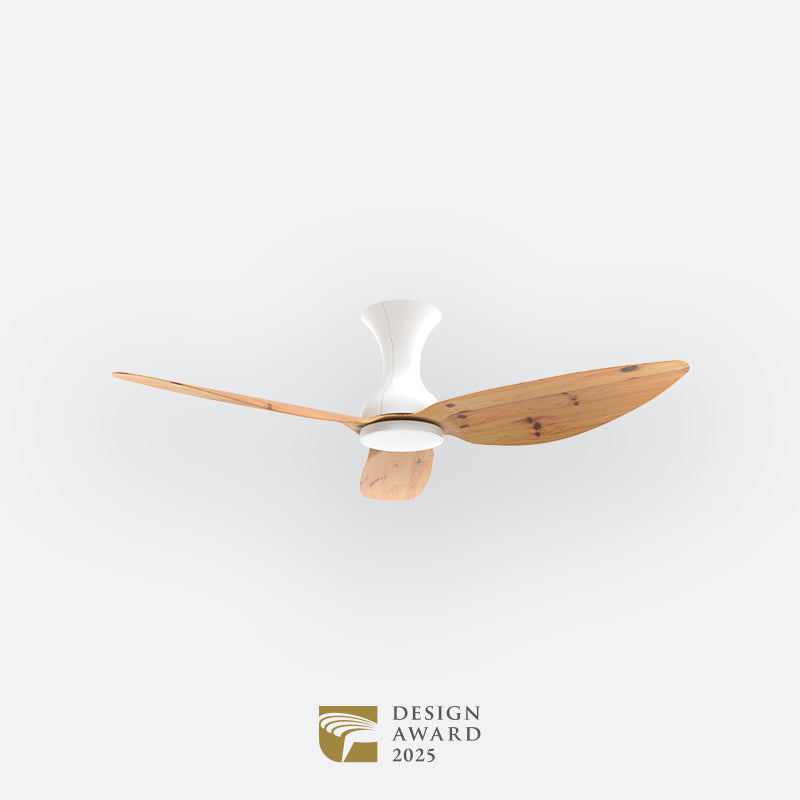 D10N Scandinavian DFY Decor Fan (NL2/V5F)