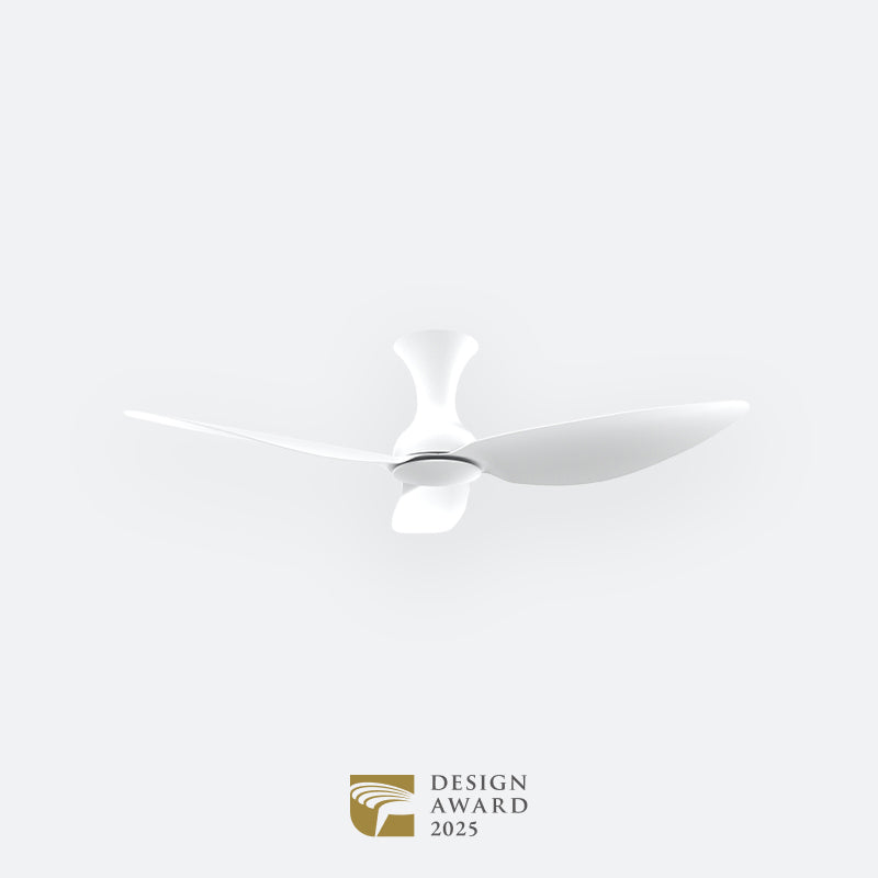 D10N Modern DFY Decor Fan (NL2/T5F/SRF)
