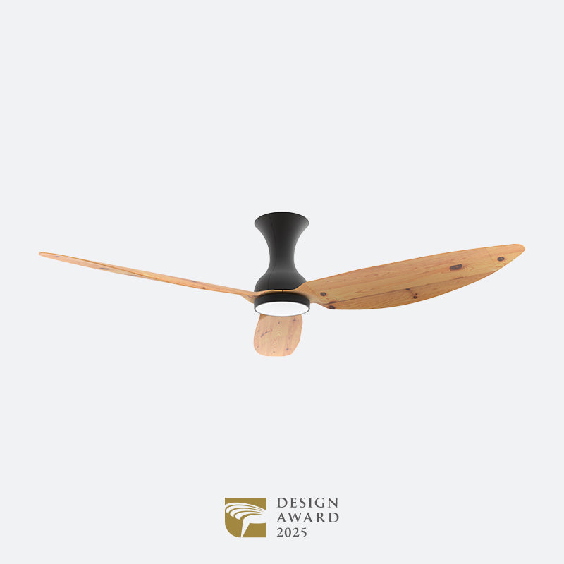 D10N Scandinavian DFY Decor Fan (NL2/V5F)