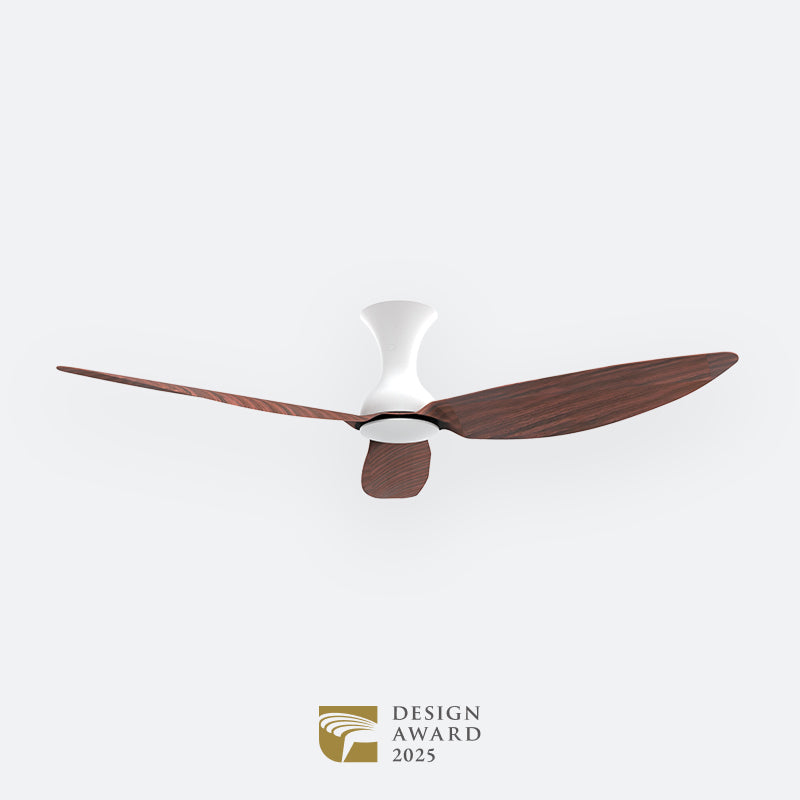 D10N Scandinavian DFY Decor Fan (NL2/V5F)