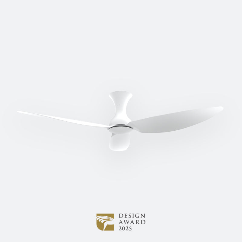 D10N Modern DFY Decor Fan (NL2/T5F/SRF)