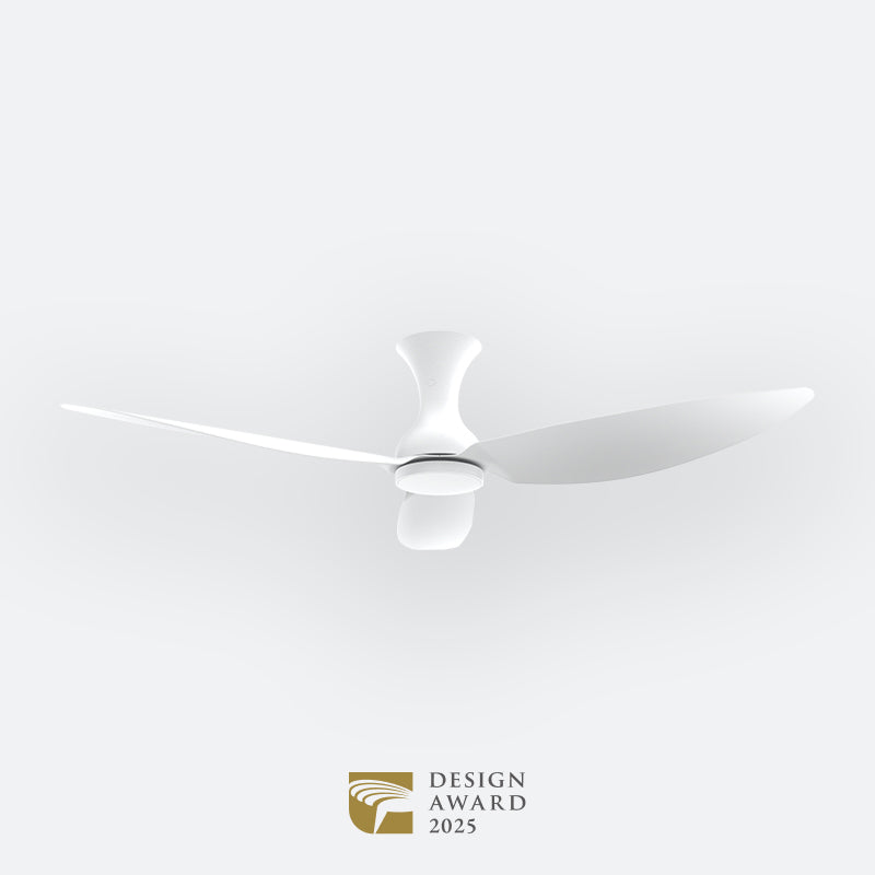 D10N Modern DFY Decor Fan (NL2/T5F/SRF)