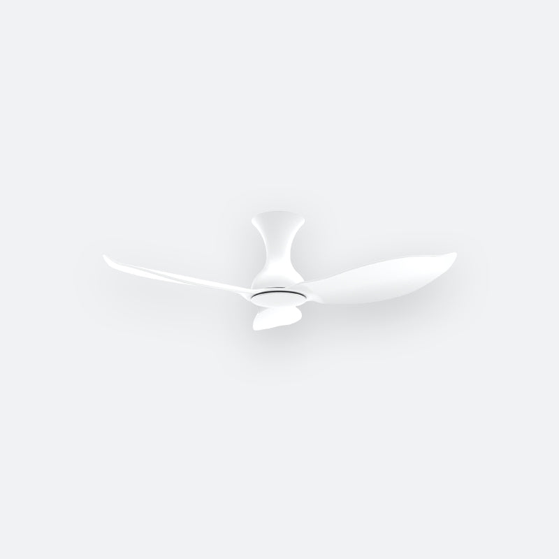 D30N Modern DFY Decor Fan (NL2/V5F)