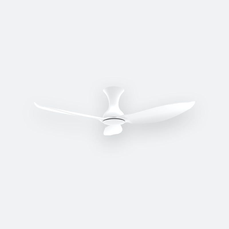 D30N Modern DFY Decor Fan (NL2/V5F)