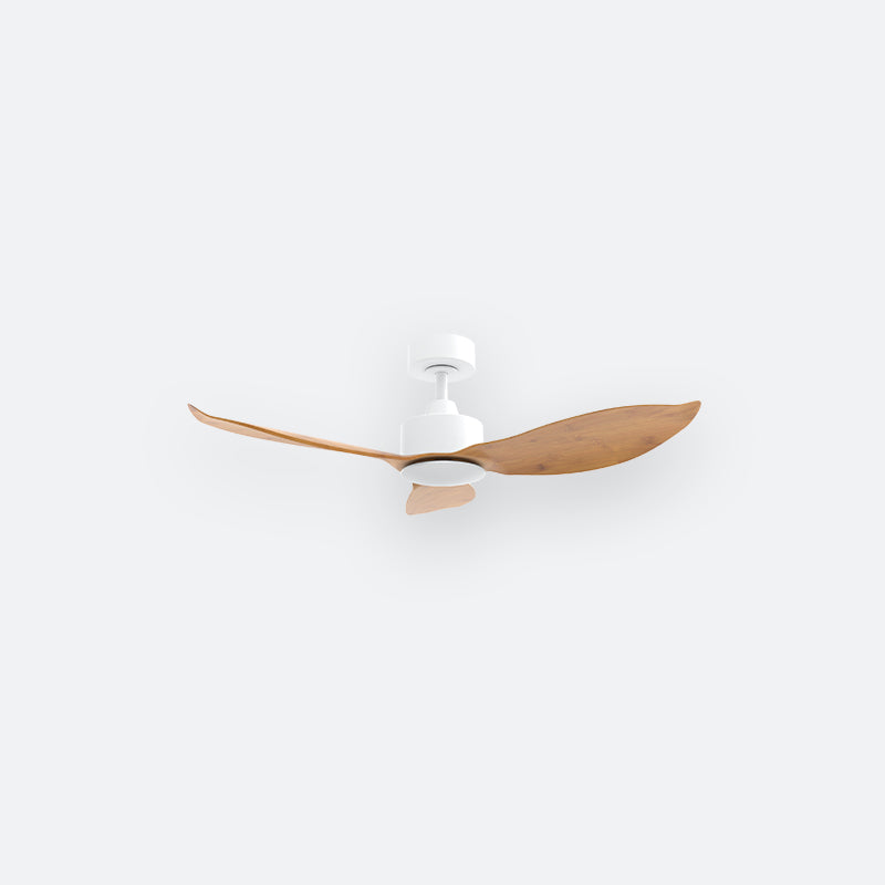 E30N Scandinavian DCI Decor Fan (NL2/T5F)
