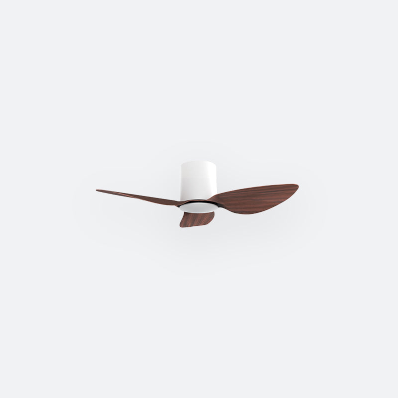 F10N Scandinavian DFY Decor Fan (NL2/V5F)