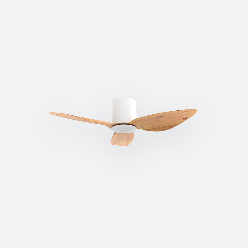 F10N Scandinavian DFY Decor Fan (NL2/V5F)