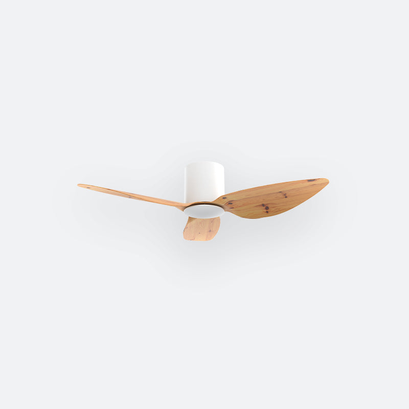 F10N Scandinavian DFY Decor Fan (NL2/V5F)