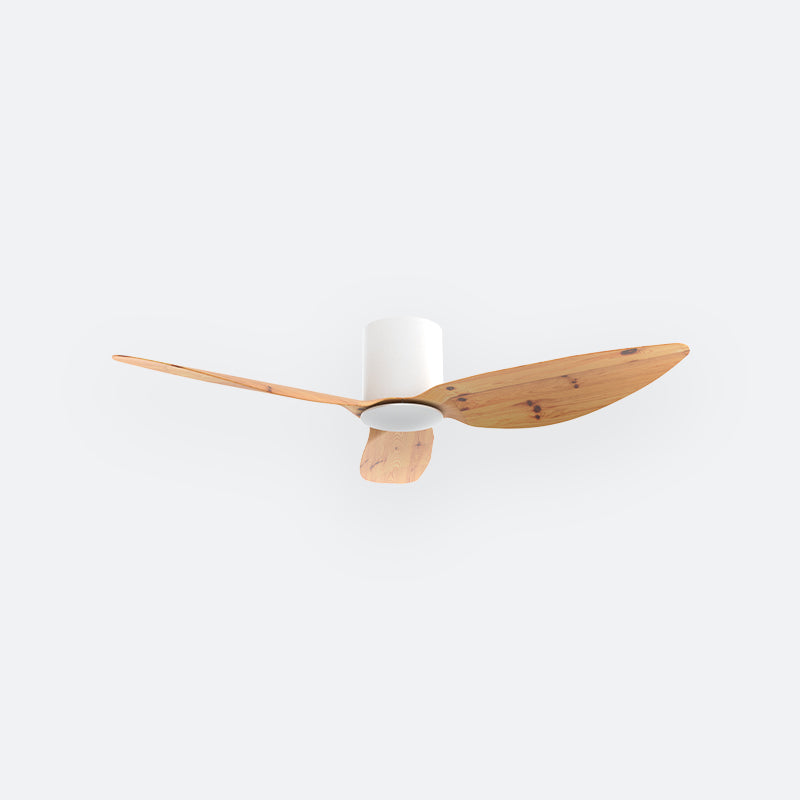 F10N Scandinavian DFY Decor Fan (NL2/V5F)