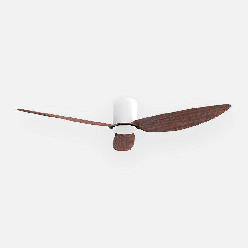 F10N Scandinavian DFY Decor Fan (NL2/V5F)