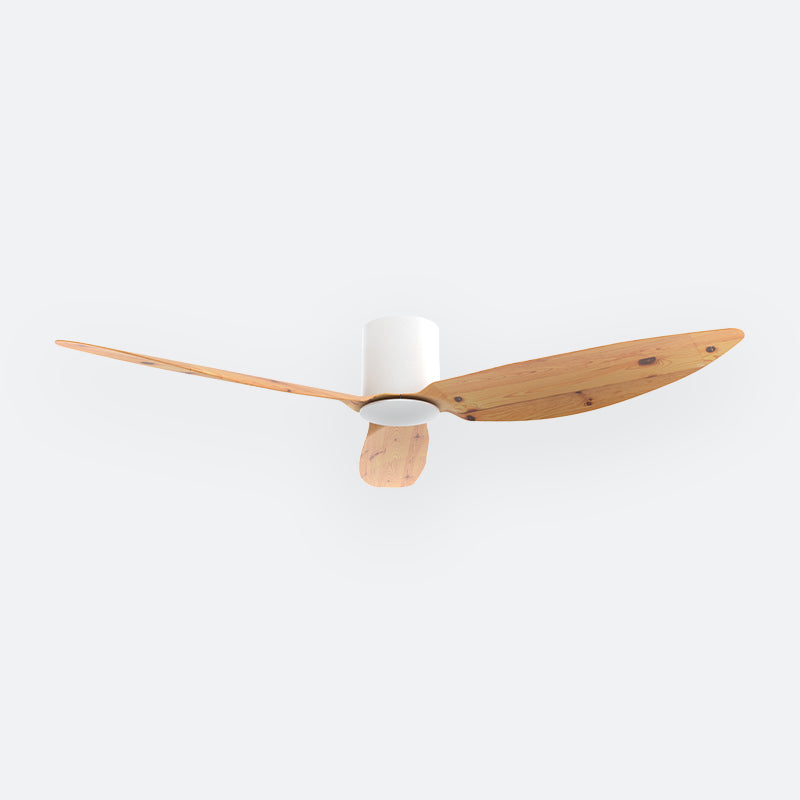 F10N Scandinavian DFY Decor Fan (NL2/V5F)