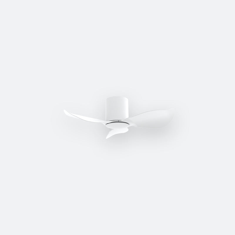 F30N Modern DFY Decor Fan (NL2/V5F)