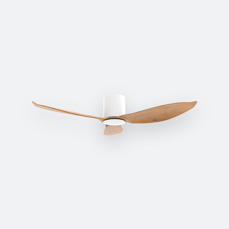 F30N Scandinavian DFY Decor Fan (NL2/V5F)