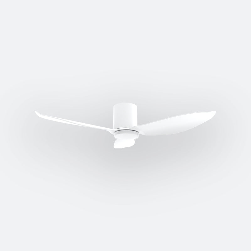 F30N Modern DFY Decor Fan (NL2/SRF)