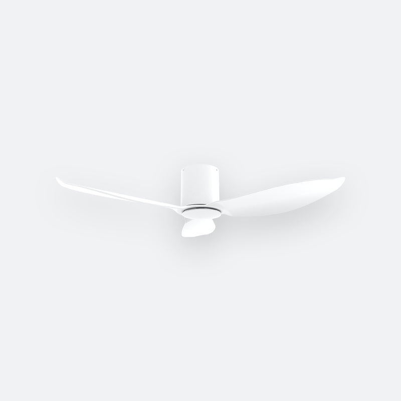F30N Modern DFY Decor Fan (NL2/V5F)