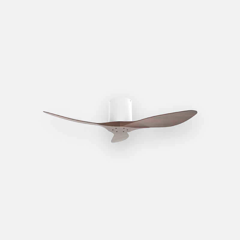 F50N Scandinavian DFY Decor Fan (NL0/V5F)