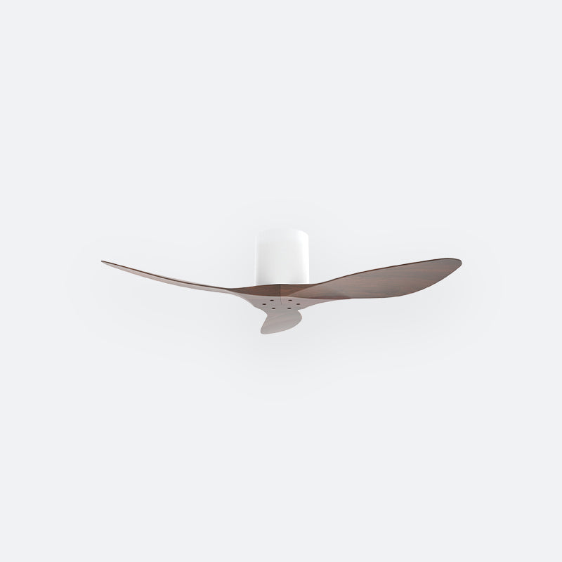 F50N Scandinavian DFY Decor Fan (NL2/V5F)