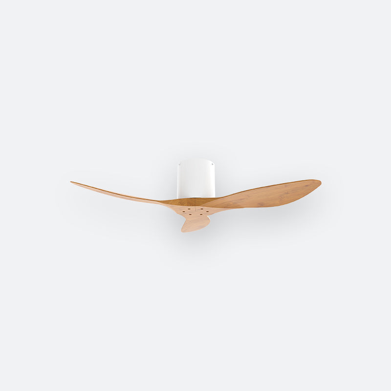 F50N Scandinavian DFY Decor Fan (NL0/V5F)