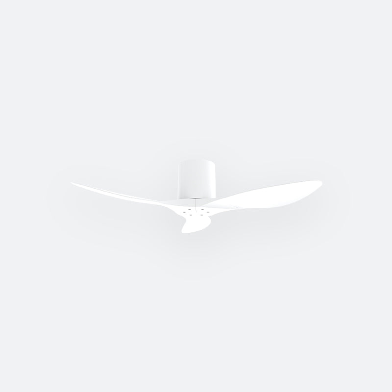 F50N Modern DFY Decor Fan (NL2/V5F)