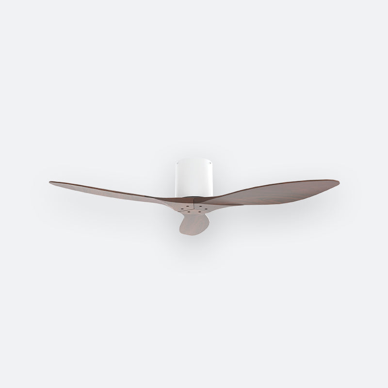 F50N Scandinavian DFY Decor Fan (NL0/V5F)