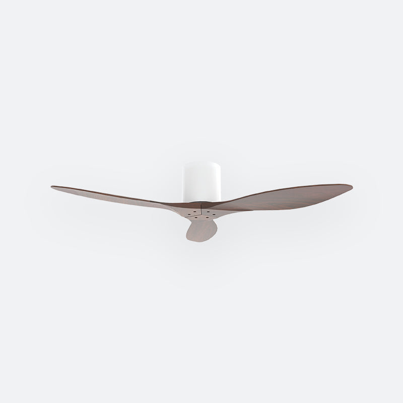 F50N Scandinavian DFY Decor Fan (NL2/V5F)