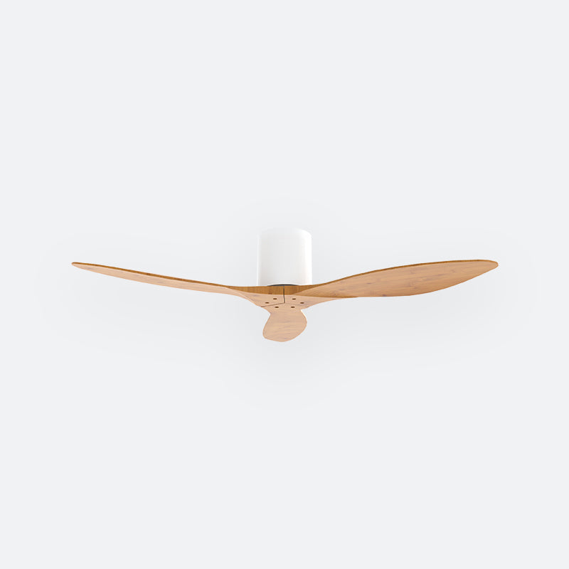 F50N Scandinavian DFY Decor Fan (NL2/V5F)