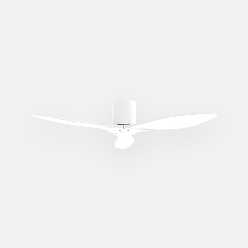 F50N Modern DFY Decor Fan (NL2/V5F)