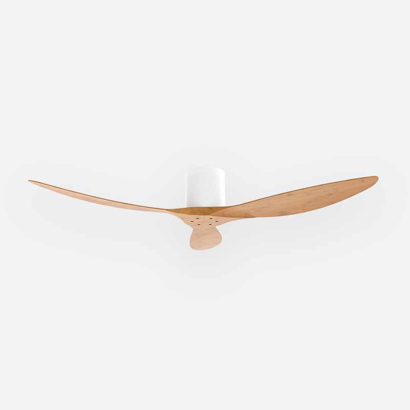 F50N Scandinavian DFY Decor Fan (NL2/V5F)