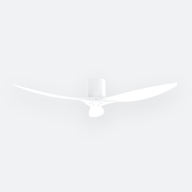 F50N Modern DFY Decor Fan (NL2/V5F)