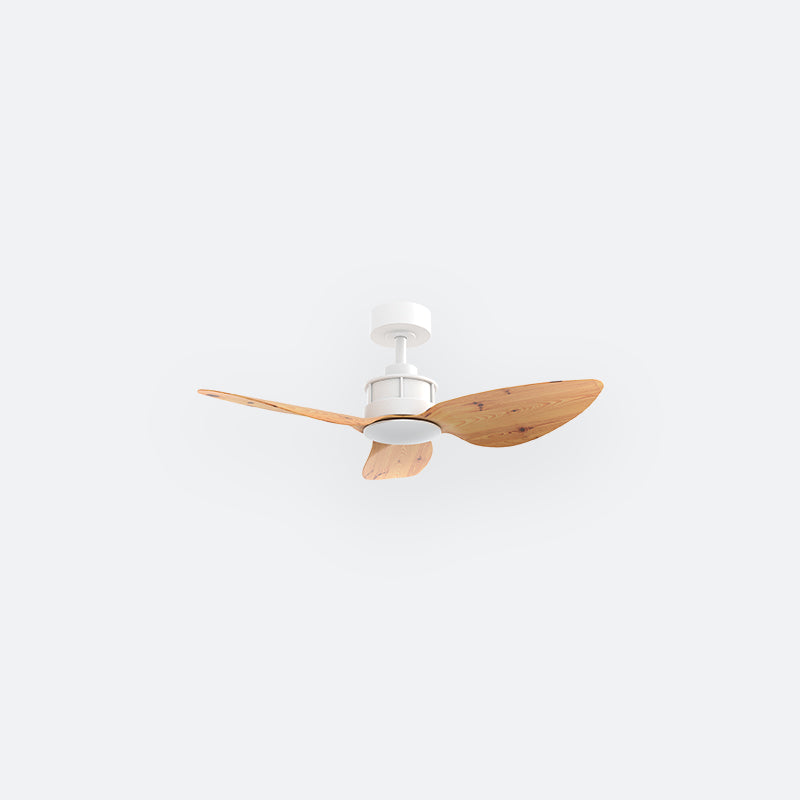 Y10N Scandinavian DFY Decor Fan (NL2/T5F)